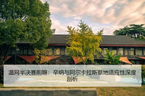 wen-wang-ban-jue-sai-qian-zhan-xin-na-yu-a-er-ka-la-si-cao-di-shi-ying-xing-shen-du-pou-xi-2-609.jpg