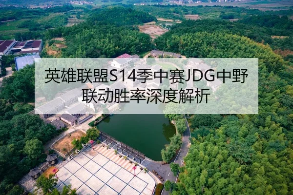 英雄联盟S14季中赛JDG中野联动胜率深度解析