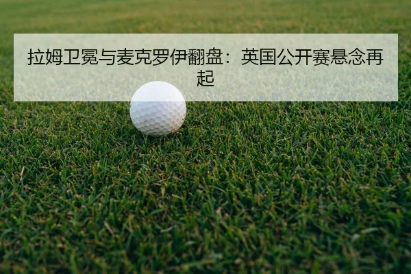 la-mu-wei-mian-yu-mai-ke-luo-yi-fan-pan-ying-guo-gong-kai-sai-xuan-nian-zai-qi-2-457.jpg