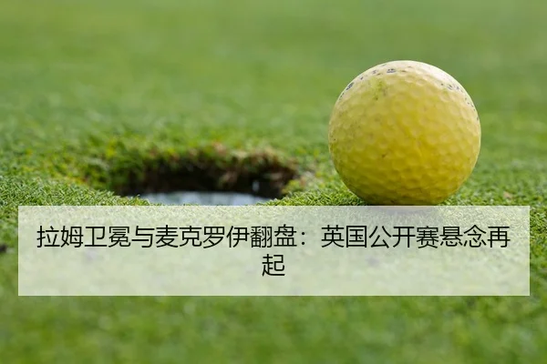 la-mu-wei-mian-yu-mai-ke-luo-yi-fan-pan-ying-guo-gong-kai-sai-xuan-nian-zai-qi-3-852.jpg