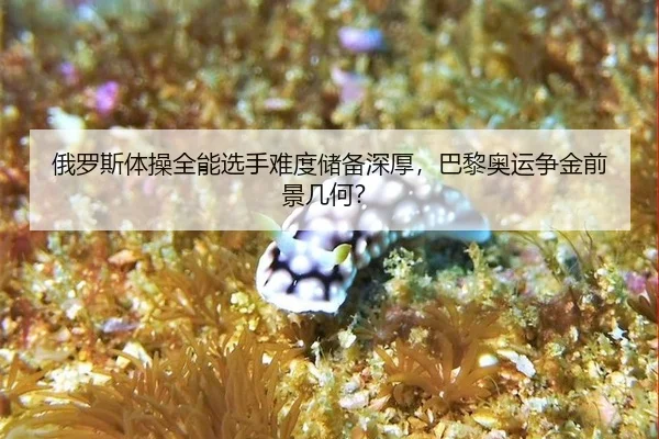 e-luo-si-ti-cao-quan-neng-xuan-shou-nan-du-chu-bei-shen-hou-ba-li-ao-yun-zheng-jin-qian-jing-ji-he-3-740.jpg
