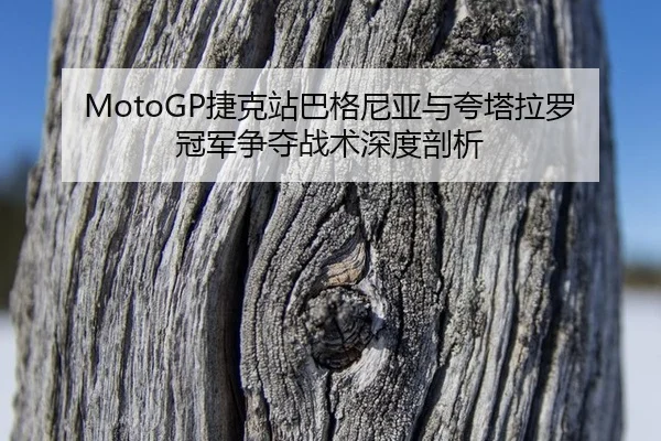 MotoGP捷克站巴格尼亚与夸塔拉罗冠军争夺战术深度剖析