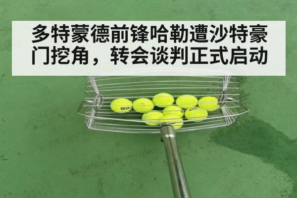 多特蒙德前锋哈勒遭沙特豪门挖角，转会谈判正式启动